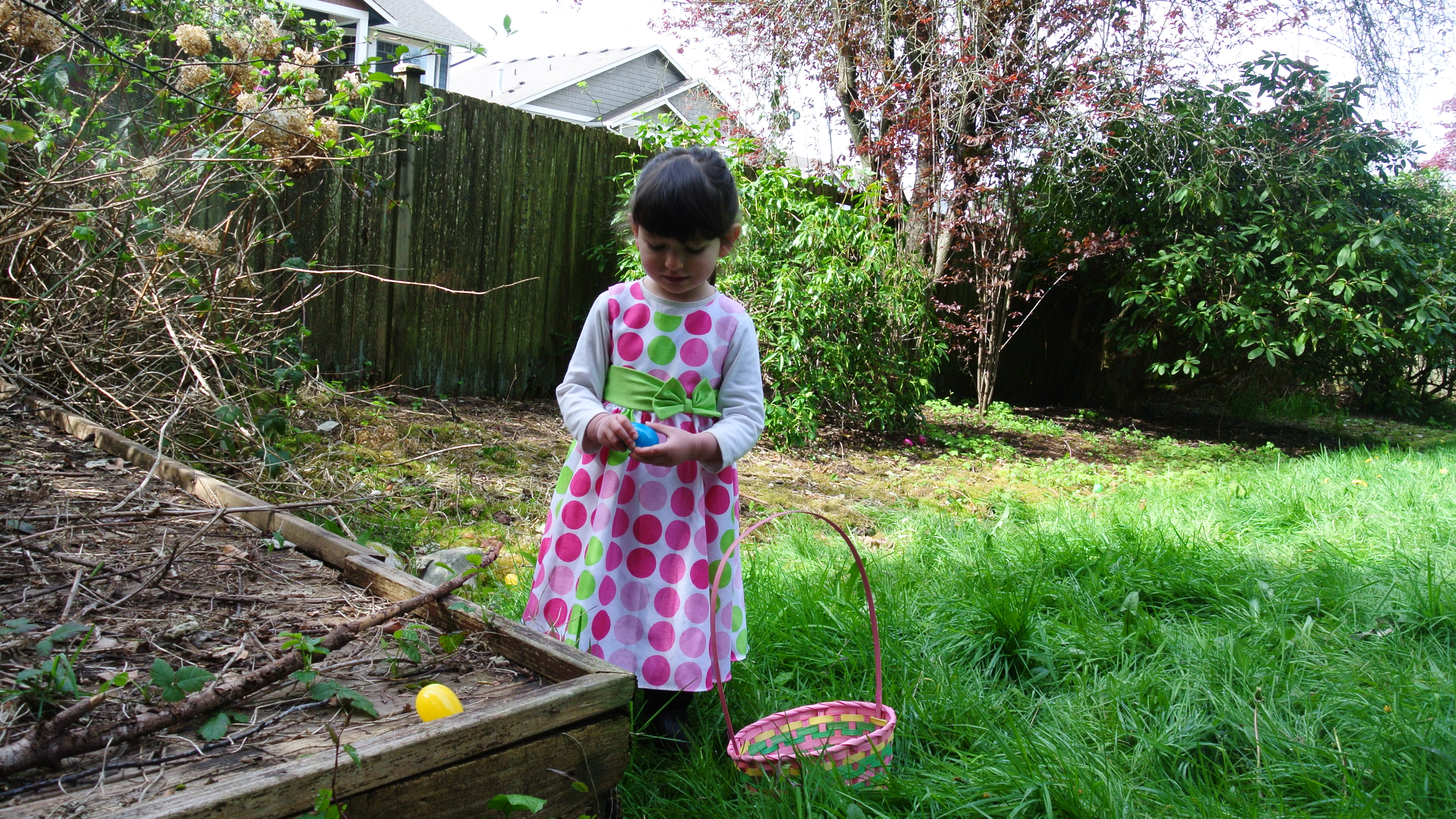 The innocence of opening each egg to know what's inside, and not knowing that she is standing next to a blackberry bush.  Hey!  Who put them there?