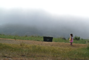 A cloudy morning at our campsite.