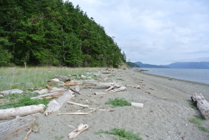 Beach next to our campsite.