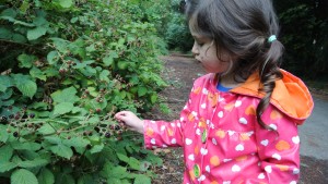 Picking blackberries.  Polina was quite good at it.