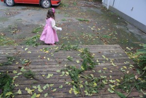 small branches and leaves scattered on our entryway.