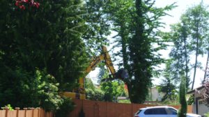 Claw of death helping the lumberjack do his job. 